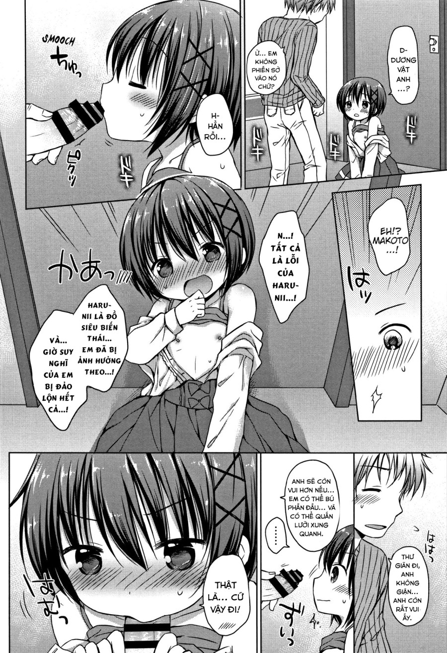 Onii-chan, chơi nào! 