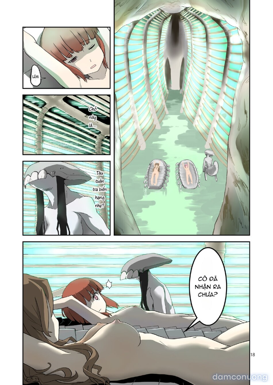 Seikyou Shinshoku 3 