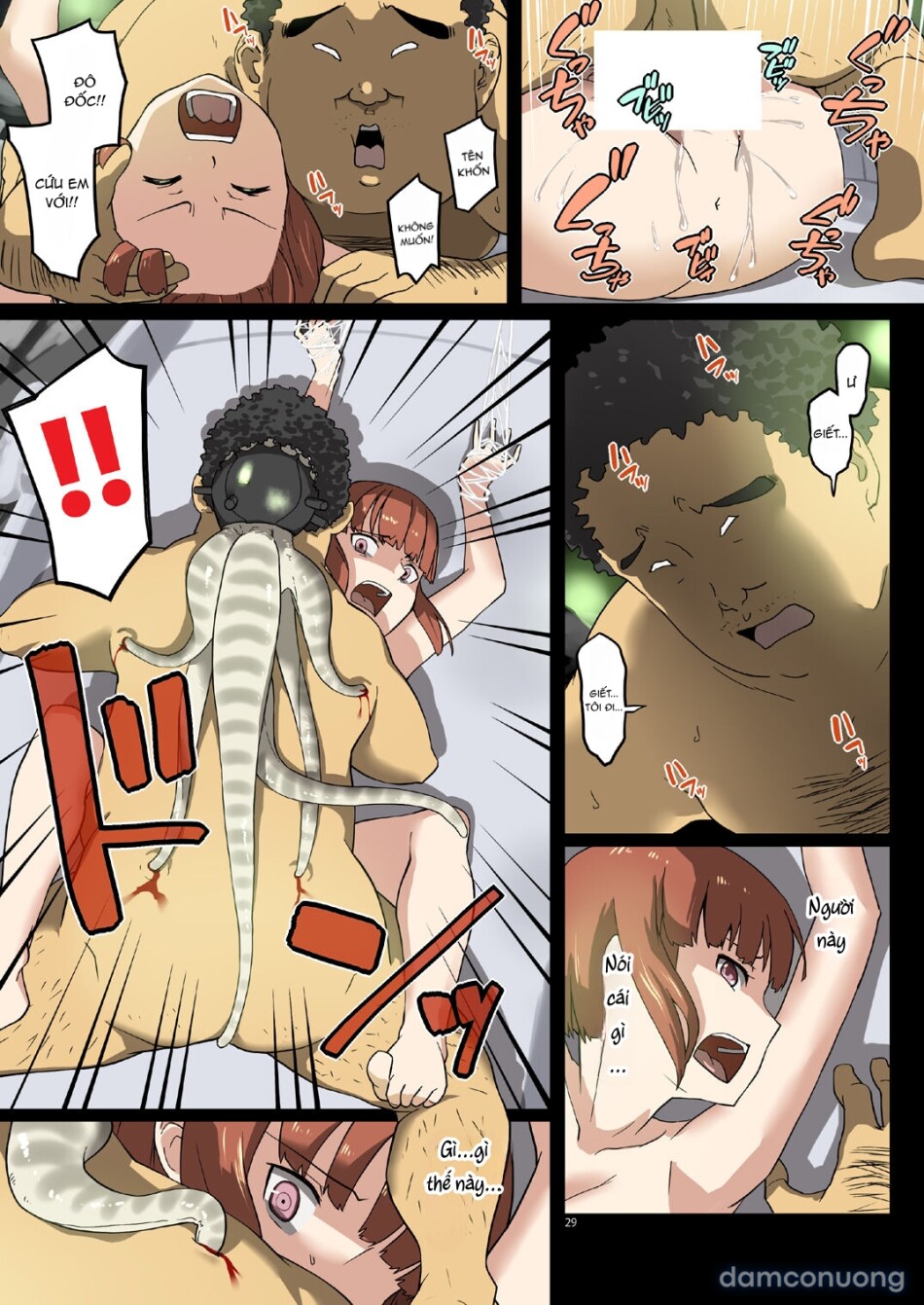 Seikyou Shinshoku 3 
