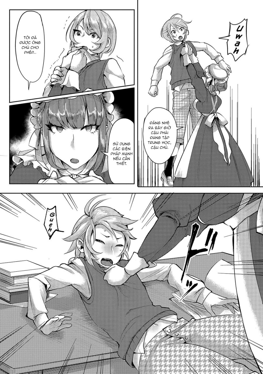 The Young Master’s Partner Maid 