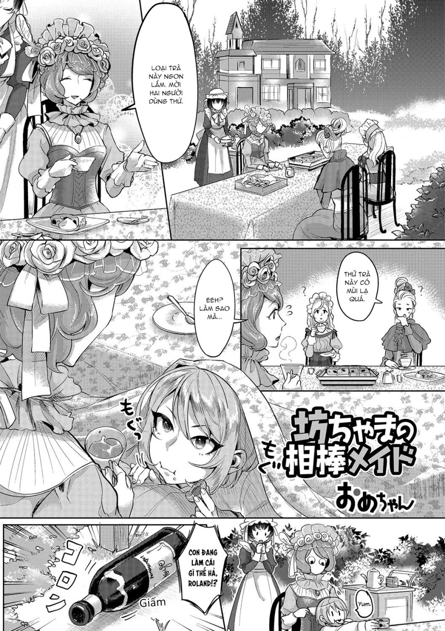 The Young Master’s Partner Maid 