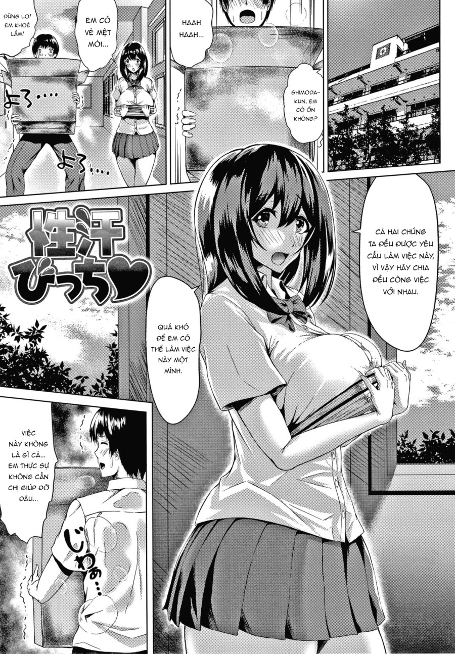 Seikan Bitch 