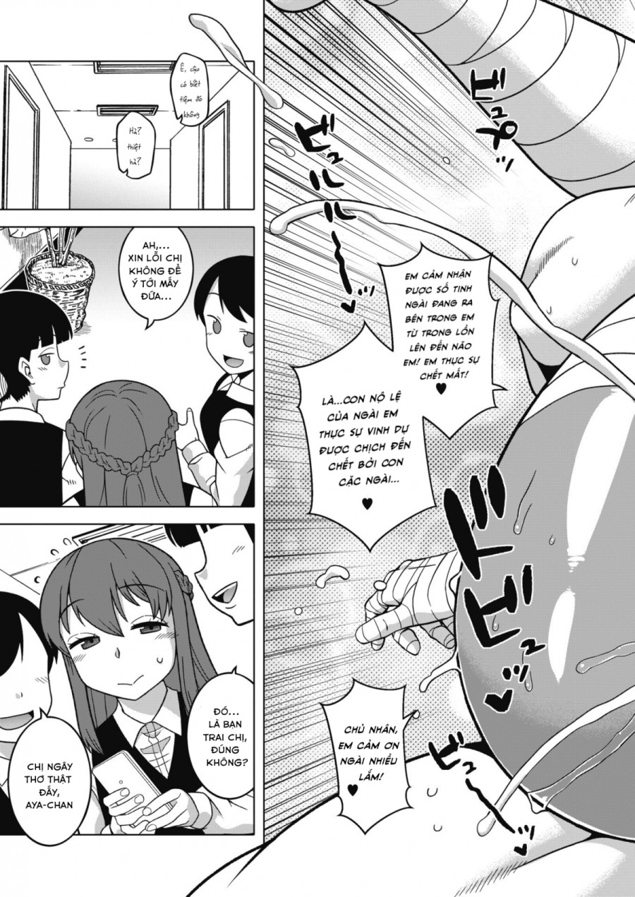 Ijimete Pharaoh-sama! 