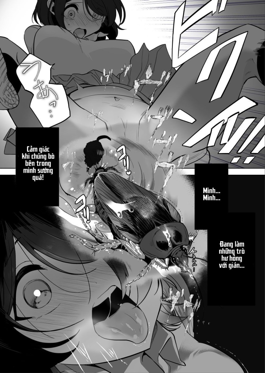 Gokimesu no inai gakkou 