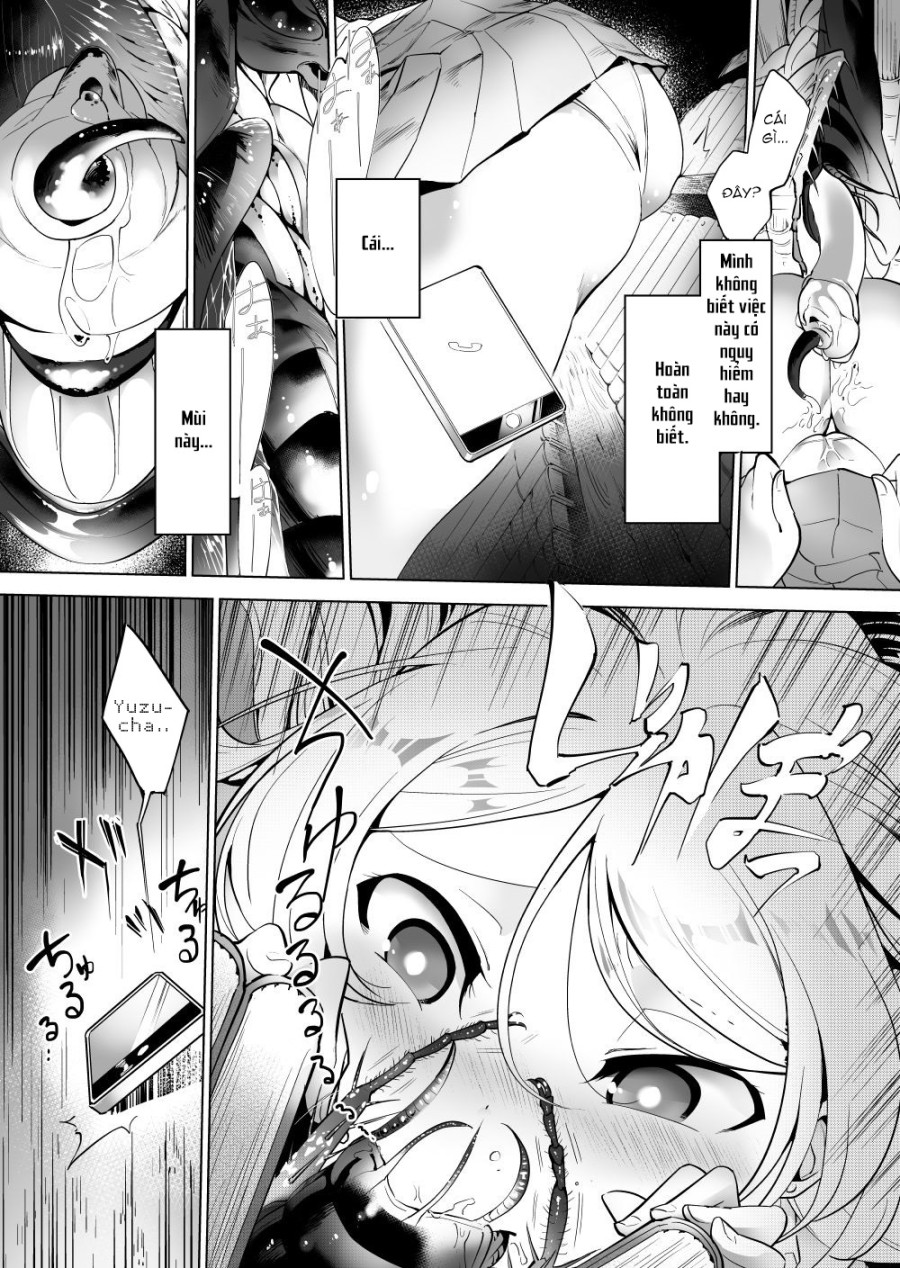 Gokimesu no inai gakkou 