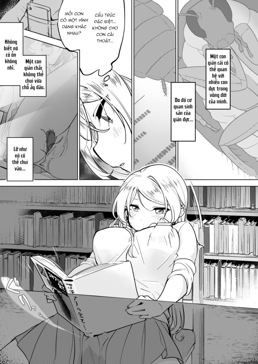 Gokimesu no inai gakkou 