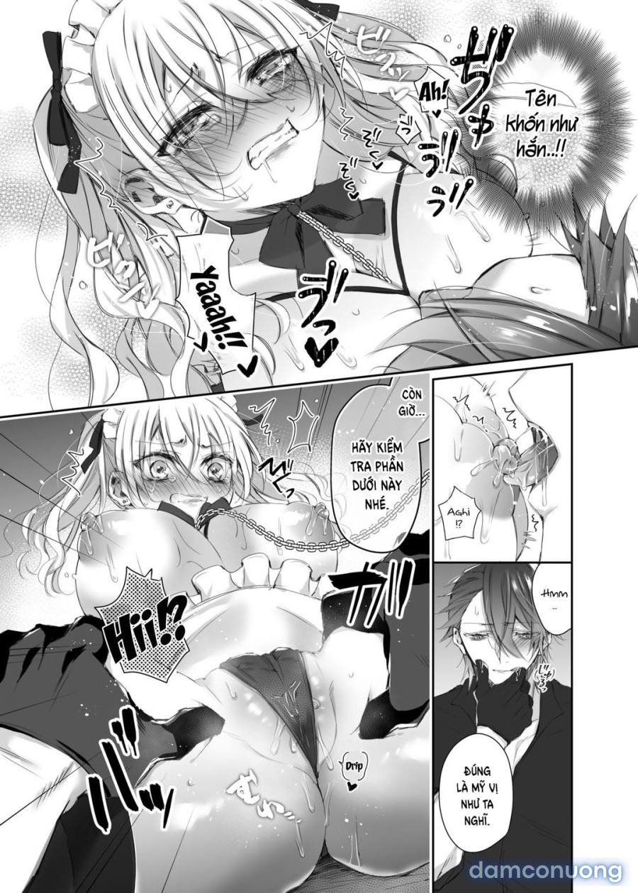 Maria XX Maid 