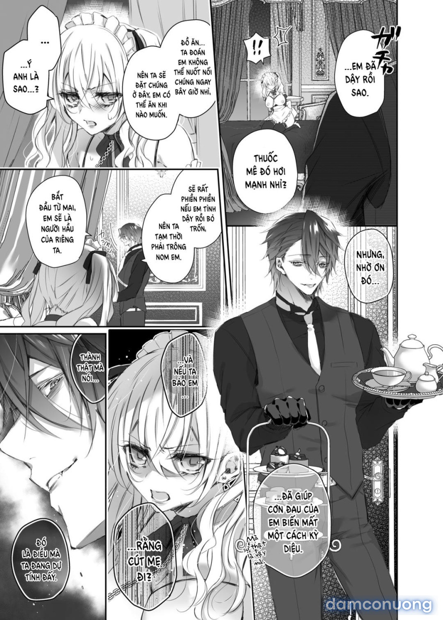 Maria XX Maid 