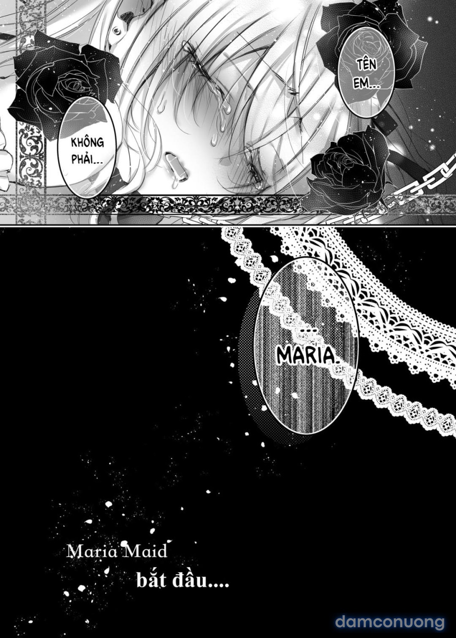 Maria XX Maid 