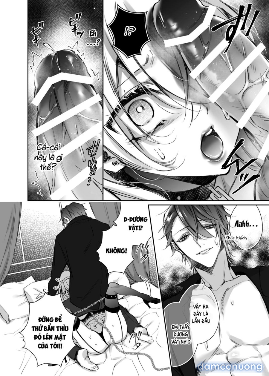 Maria XX Maid 