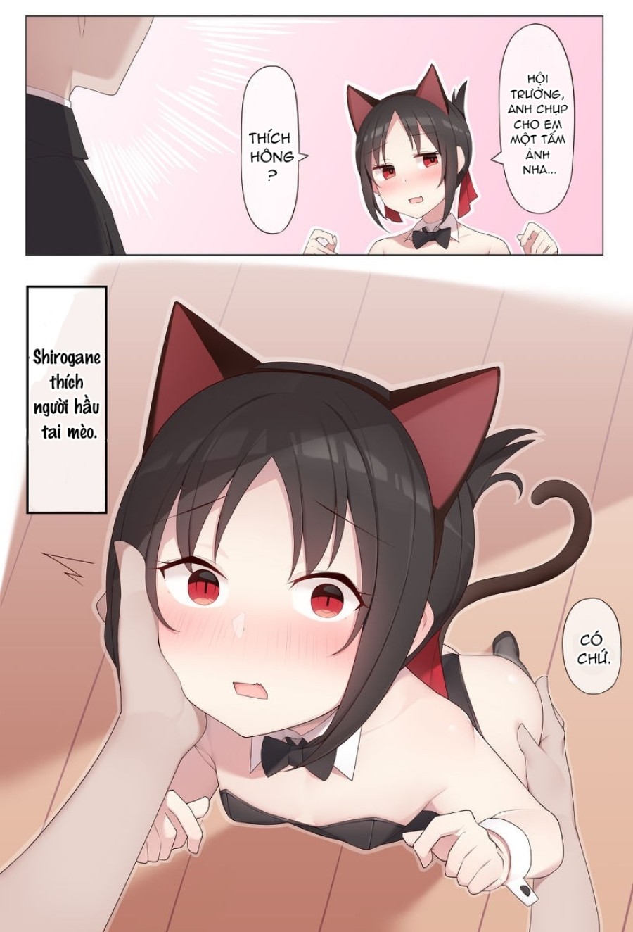 Khi kaguya mặc đồ gái tai mèo 