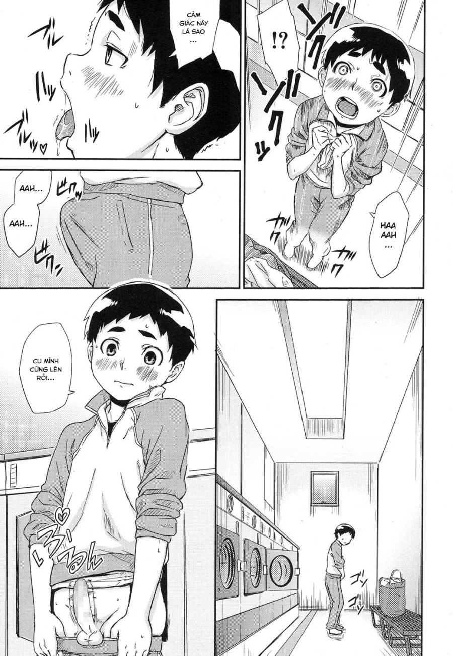 Bunk Bed Susumu 