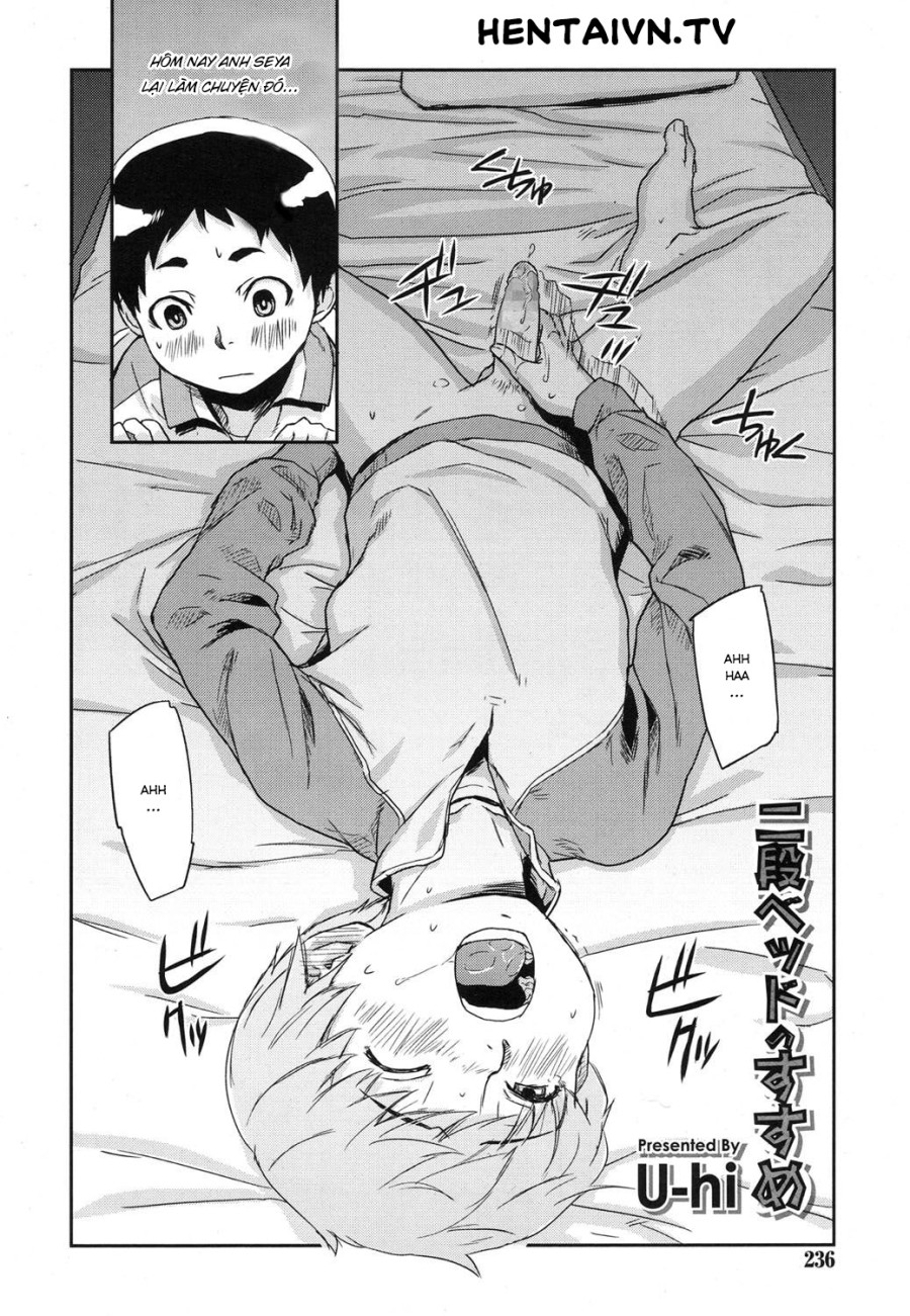 Bunk Bed Susumu 
