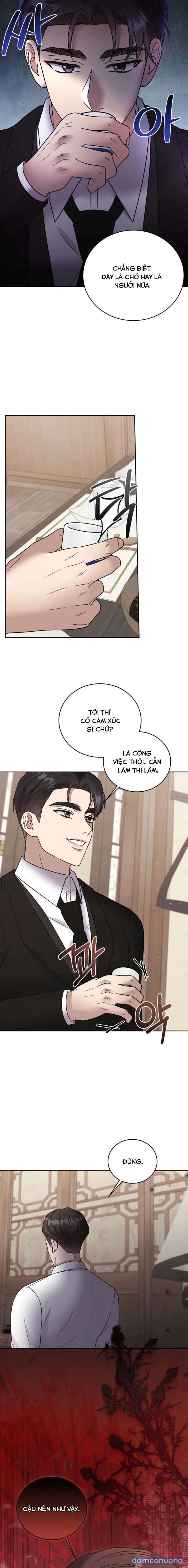 『18+』Ảo Tưởng Tình Yêu Là Cấm Kỵ 