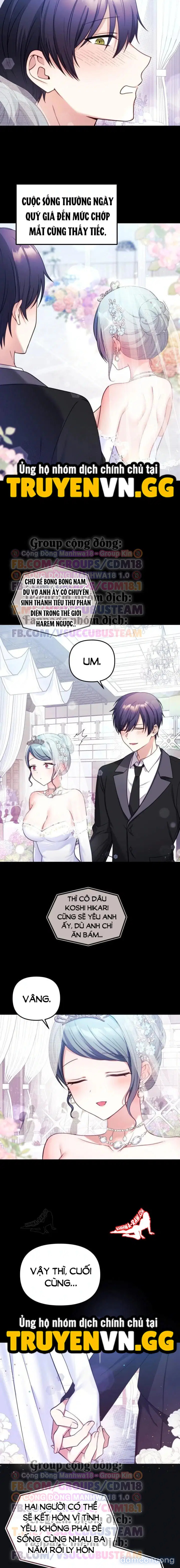 Cô Vợ Vtuber 