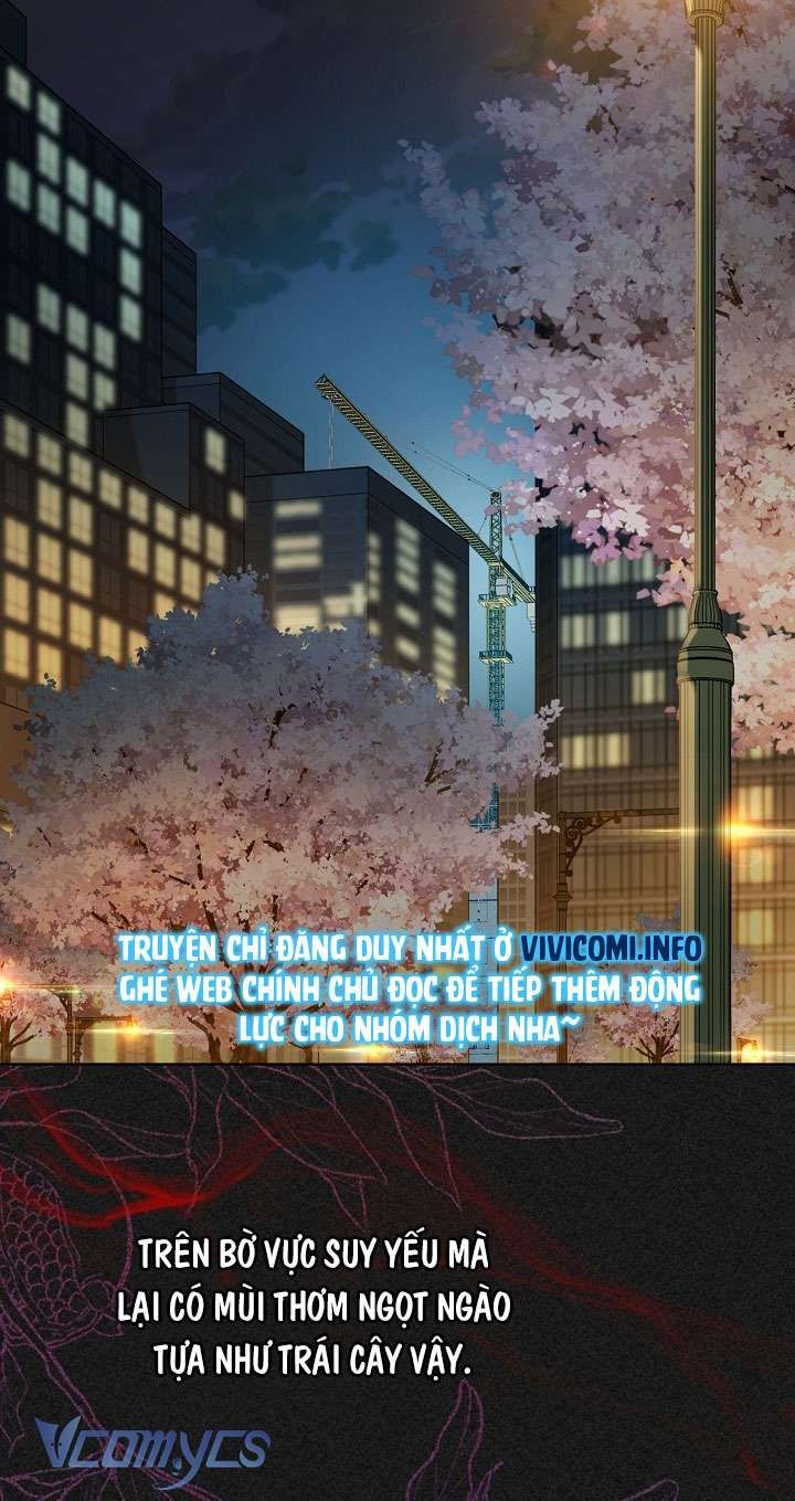 [18+] Love Kitsch Crunch 
