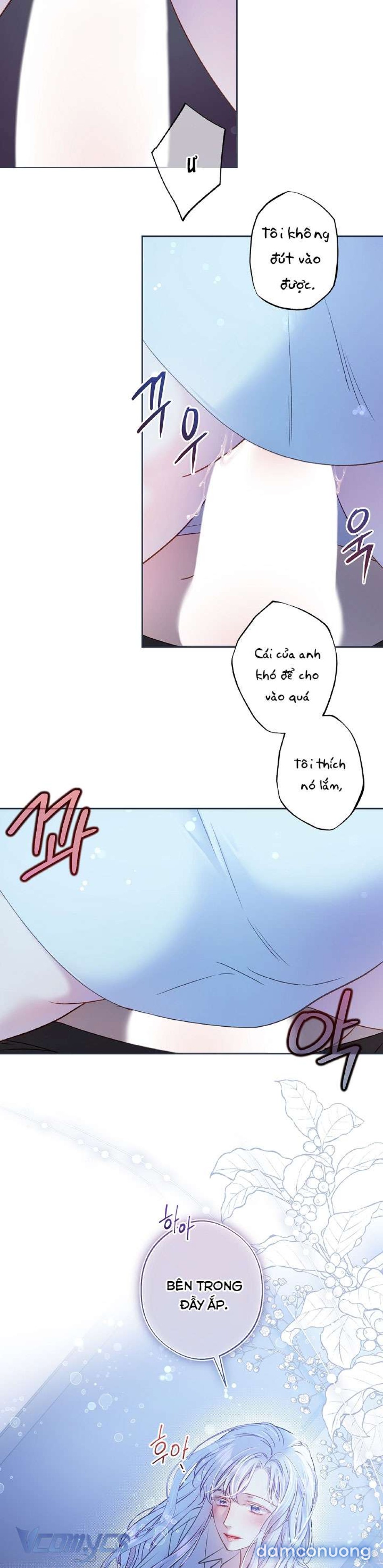 [18+] Love Kitsch Crunch 