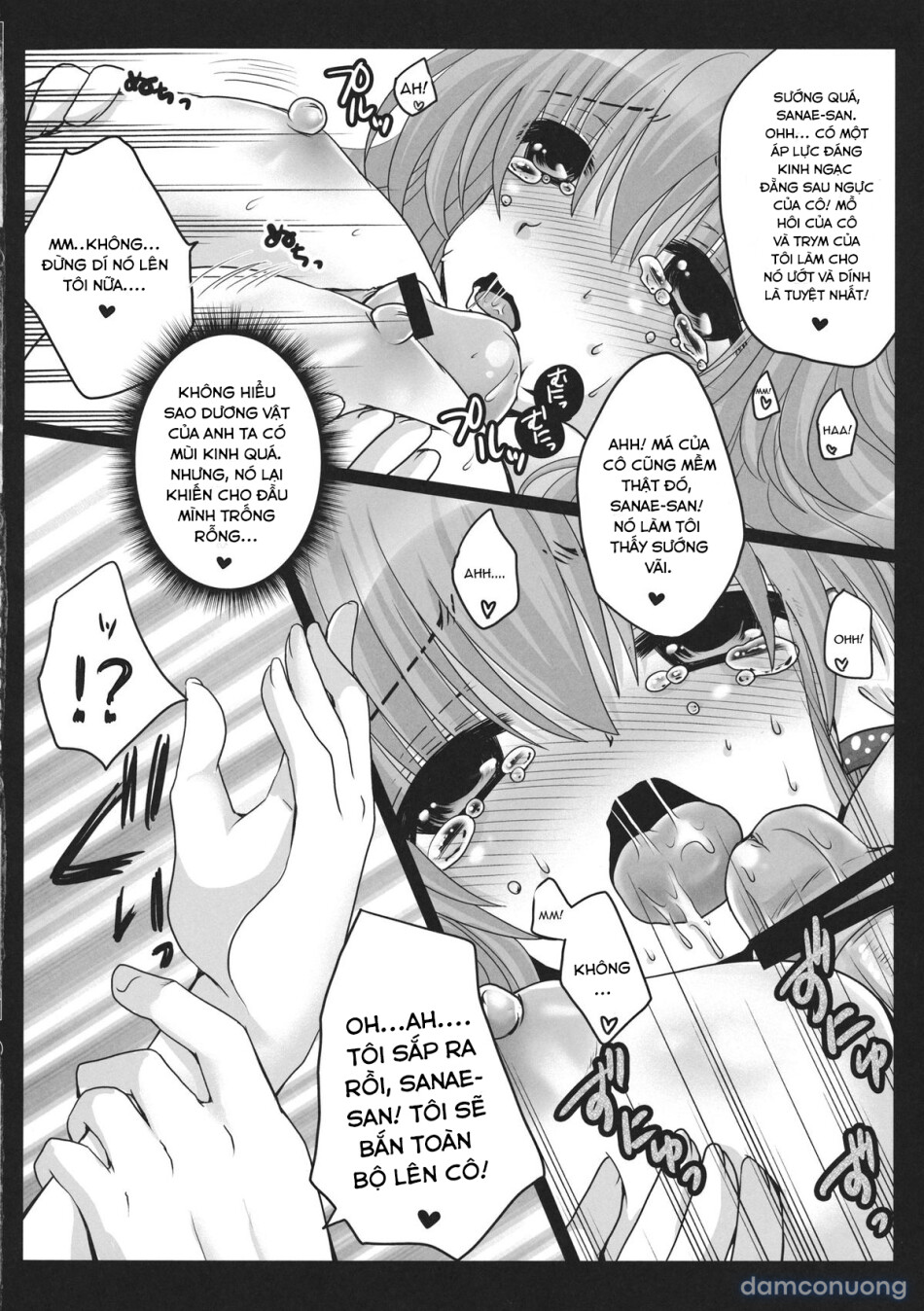 Shinkou no Tamamono (Touhou Project) 