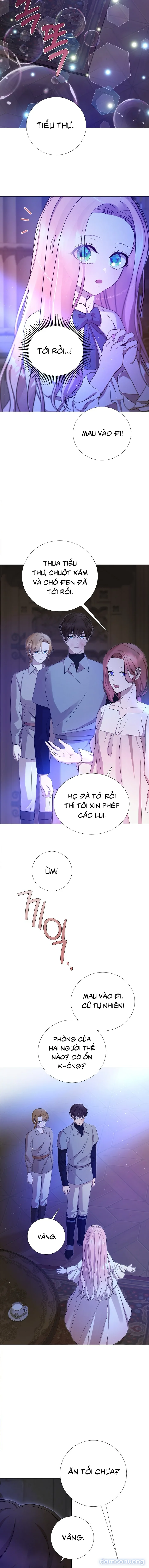 Lâu Đài Hoang Dã 