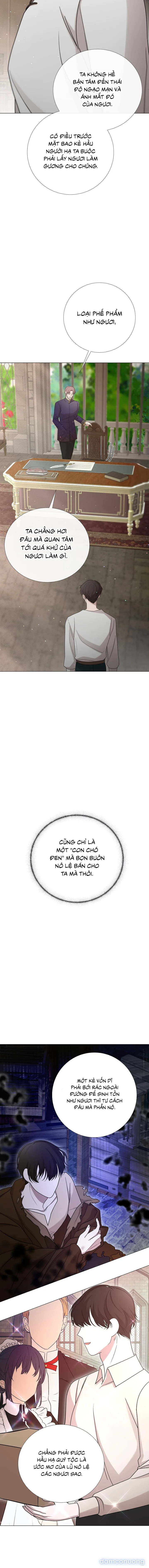 Lâu Đài Hoang Dã 