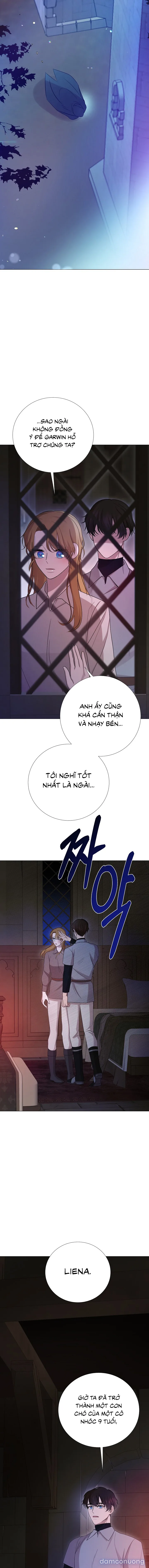 Lâu Đài Hoang Dã 