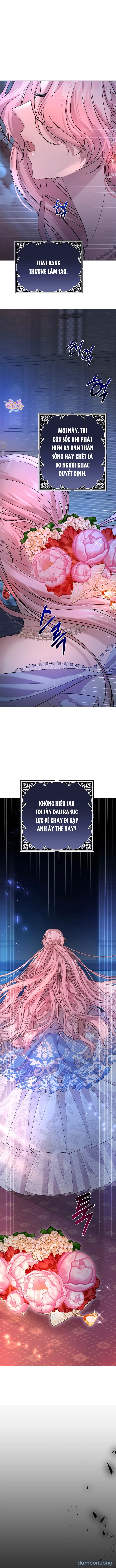 Lâu Đài Hoang Dã 