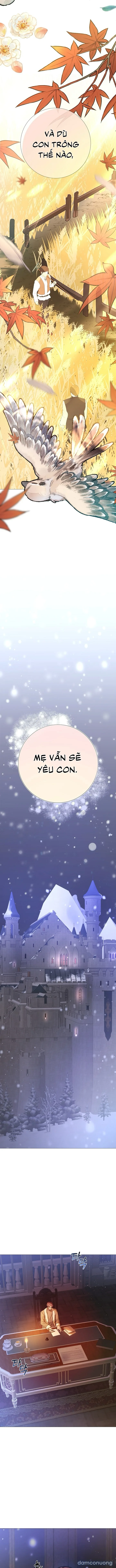 Lâu Đài Hoang Dã 