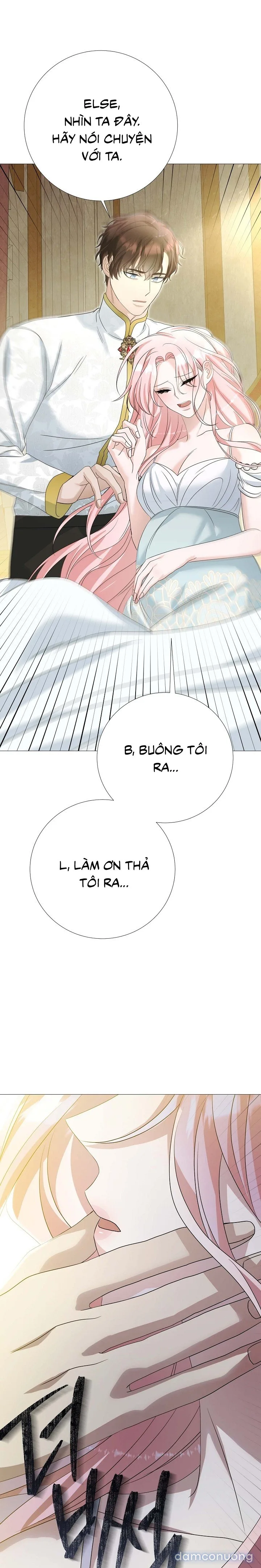 Lâu Đài Hoang Dã 