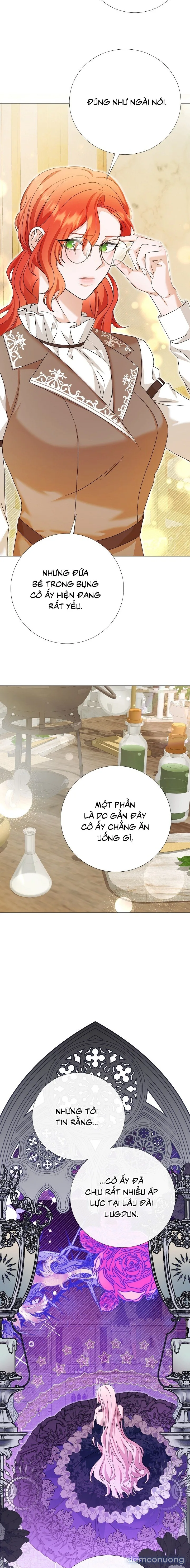 Lâu Đài Hoang Dã 