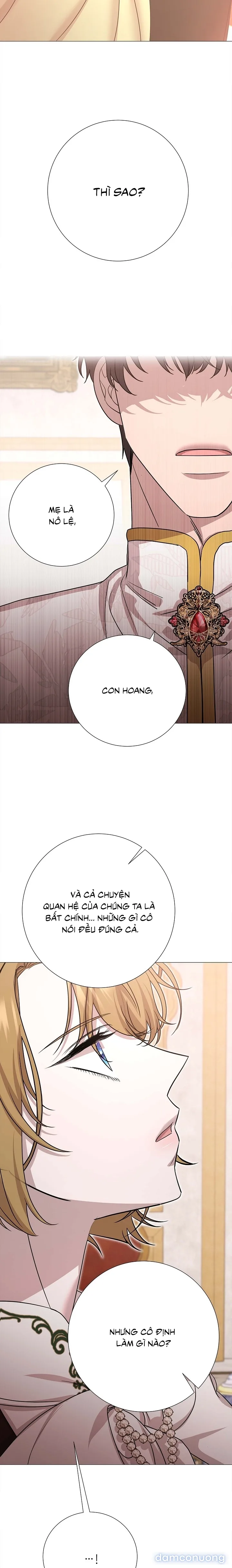 Lâu Đài Hoang Dã 