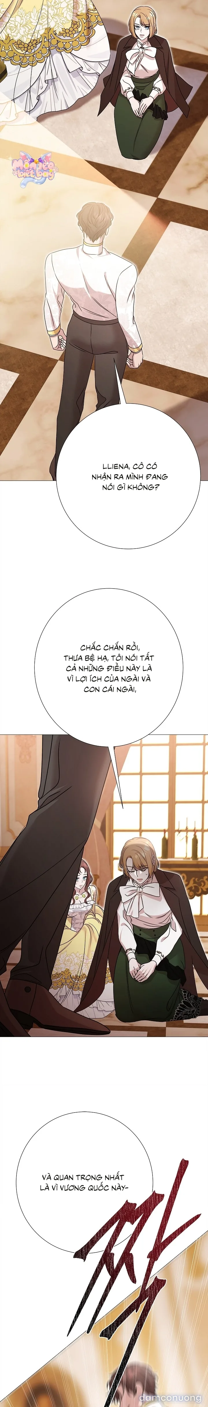 Lâu Đài Hoang Dã 