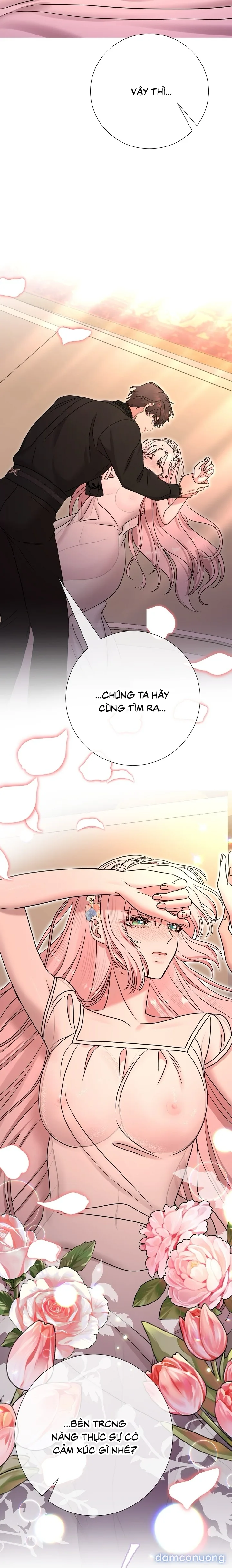 Lâu Đài Hoang Dã 