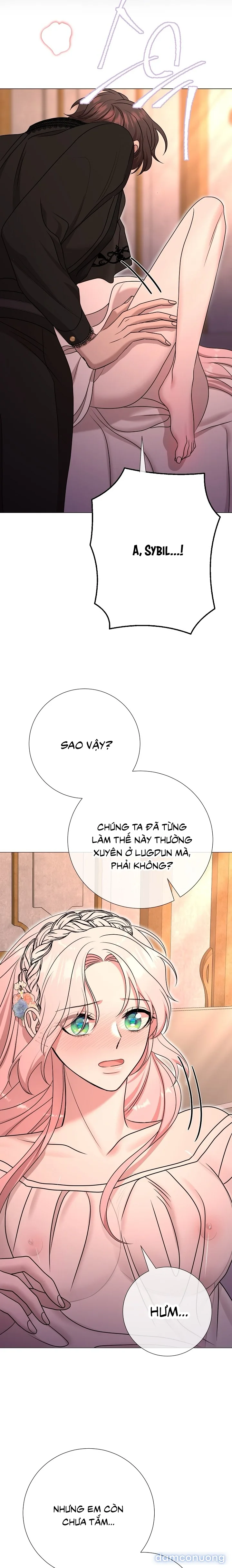 Lâu Đài Hoang Dã 