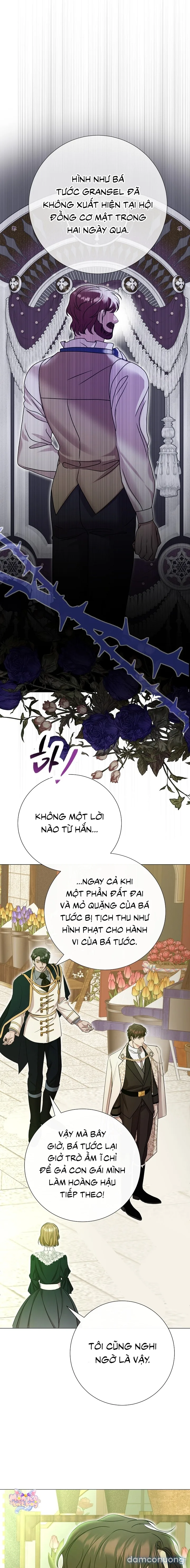 Lâu Đài Hoang Dã 