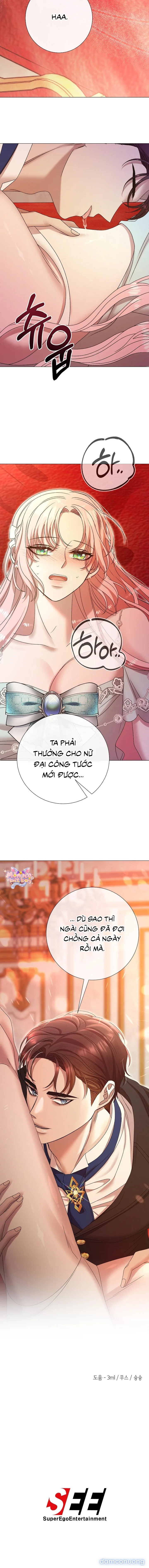 Lâu Đài Hoang Dã 