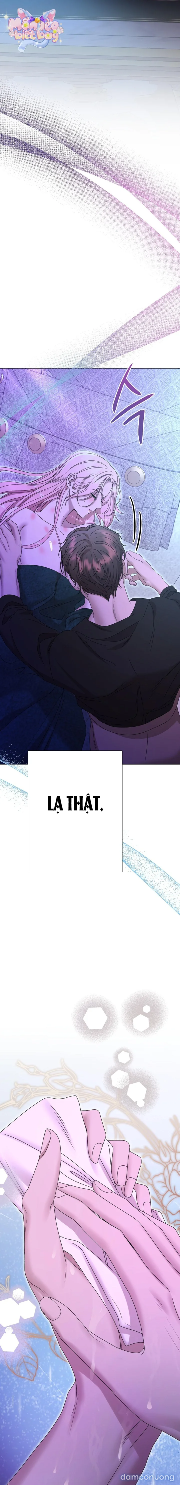 Lâu Đài Hoang Dã 