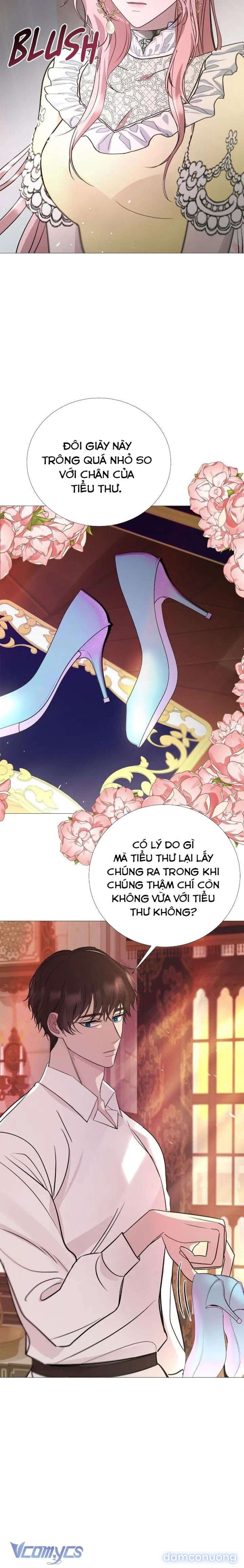 Lâu Đài Hoang Dã 