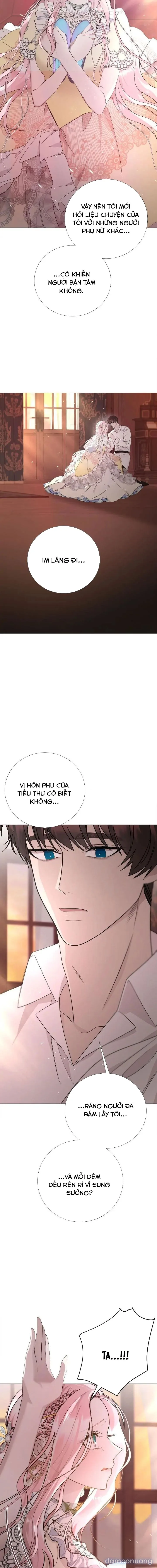 Lâu Đài Hoang Dã 