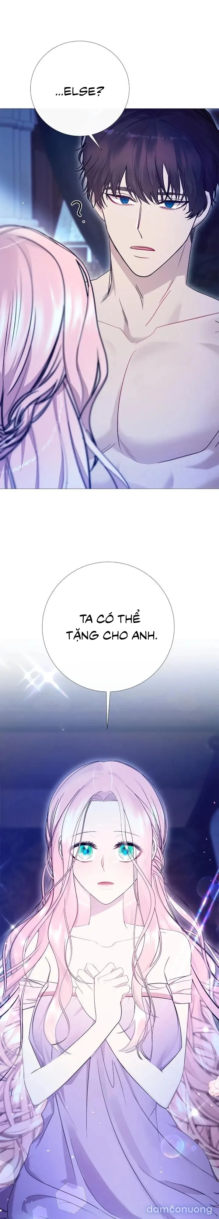 Lâu Đài Hoang Dã 