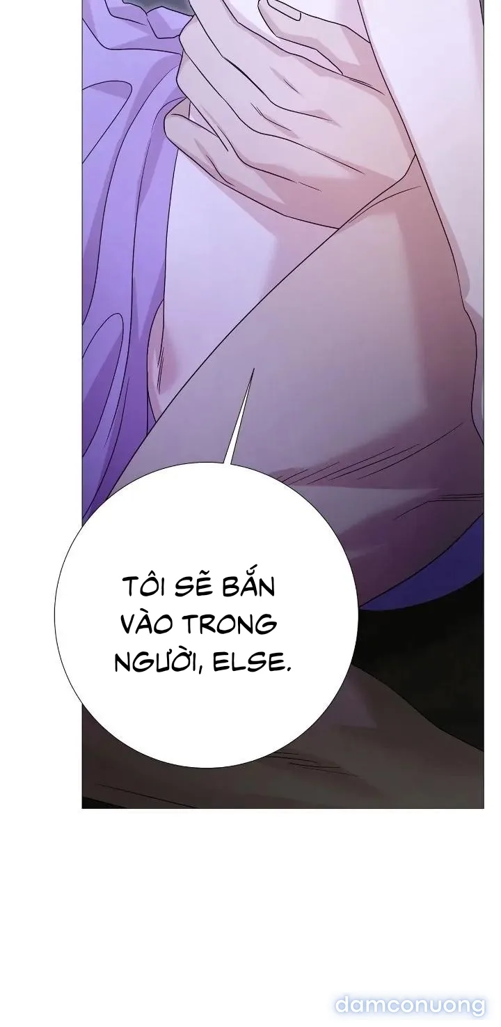 Lâu Đài Hoang Dã 