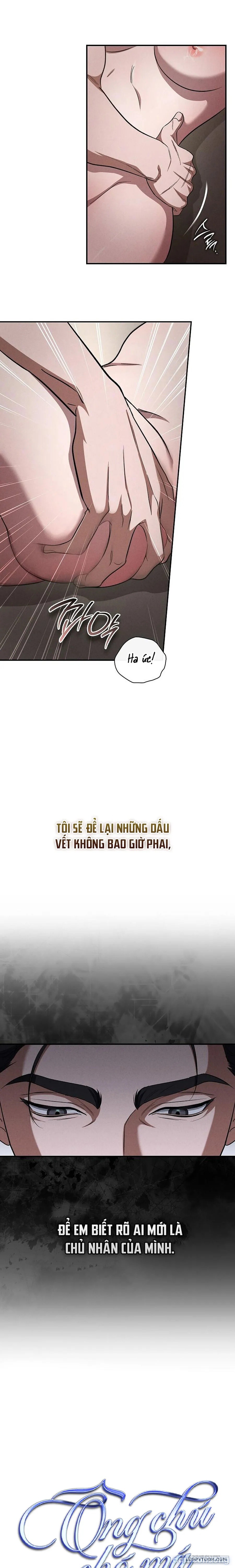 [19+] Ông Chú Chó Má 
