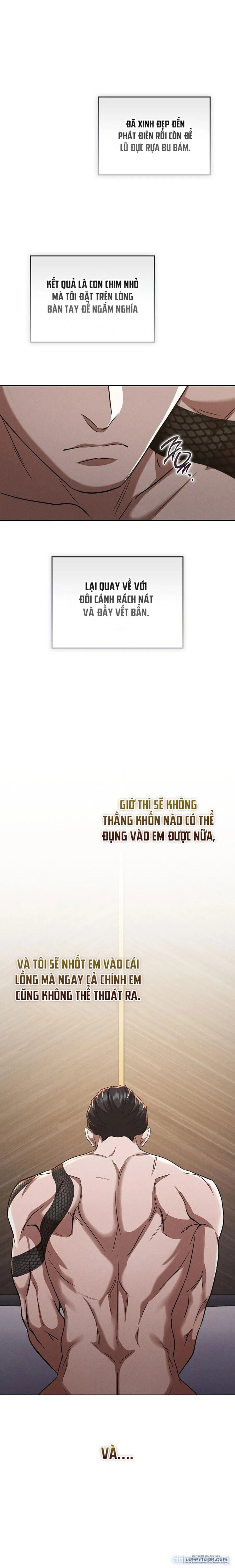 [19+] Ông Chú Chó Má 