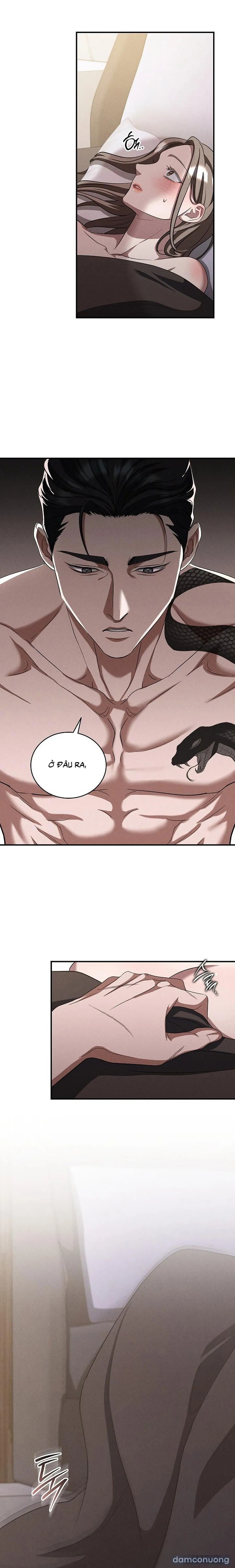 [19+] Ông Chú Chó Má 