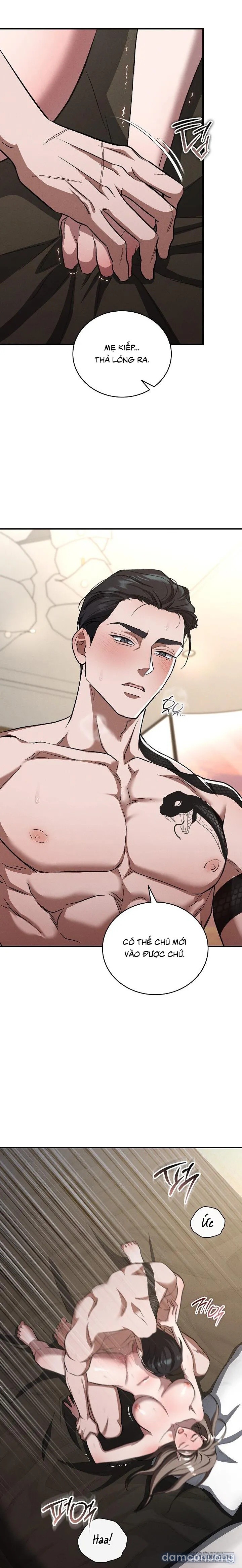 [19+] Ông Chú Chó Má 