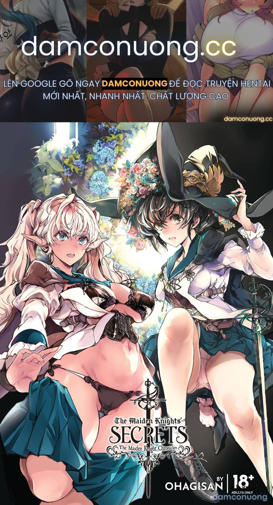The Maiden Knights: Secrets 