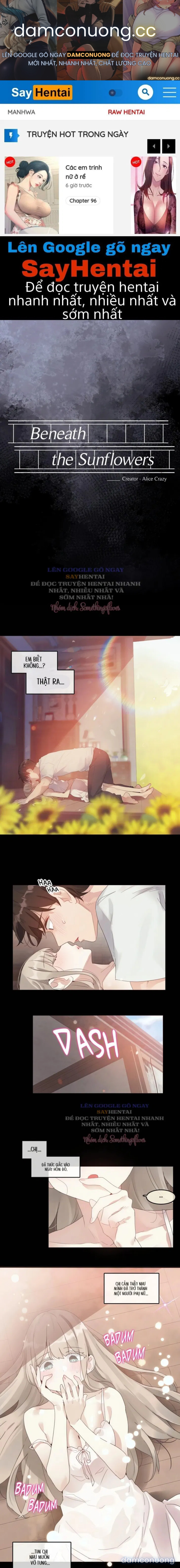 Mùa Hướng Dương Thầm Thì 