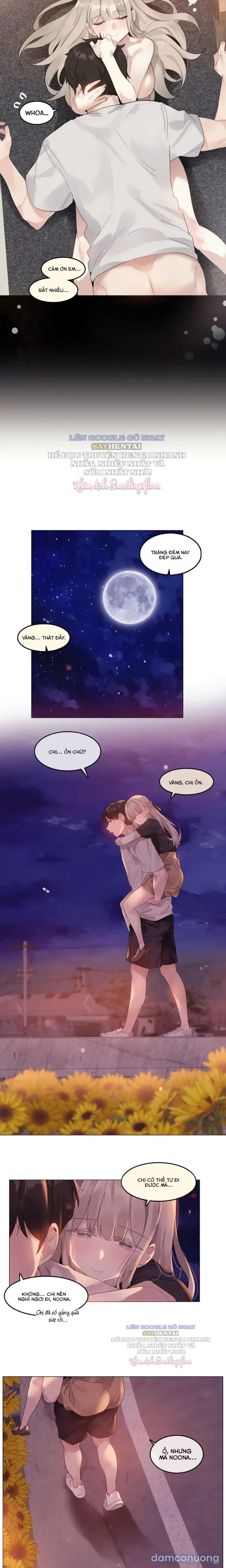 Mùa Hướng Dương Thầm Thì 