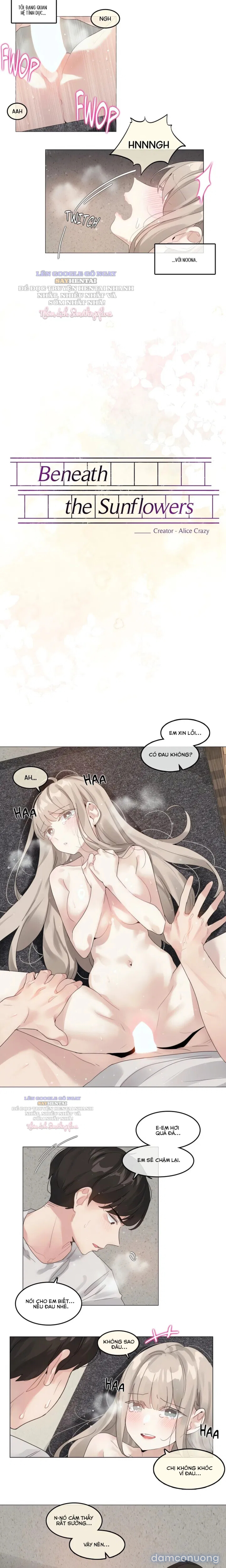 Mùa Hướng Dương Thầm Thì 