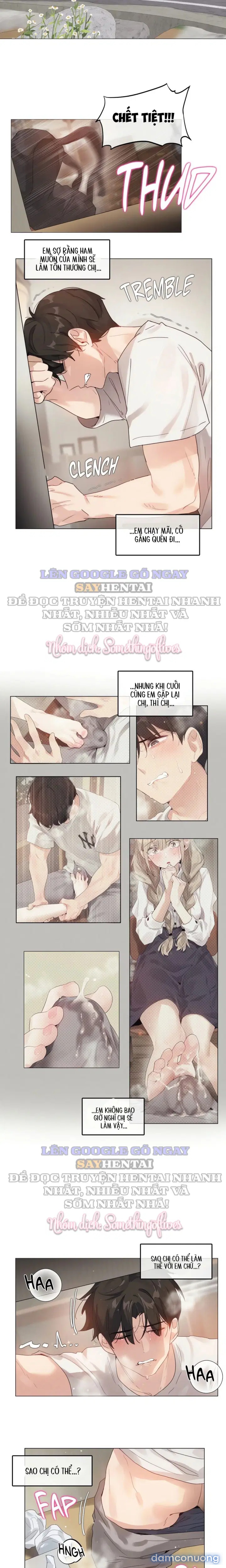 Mùa Hướng Dương Thầm Thì 