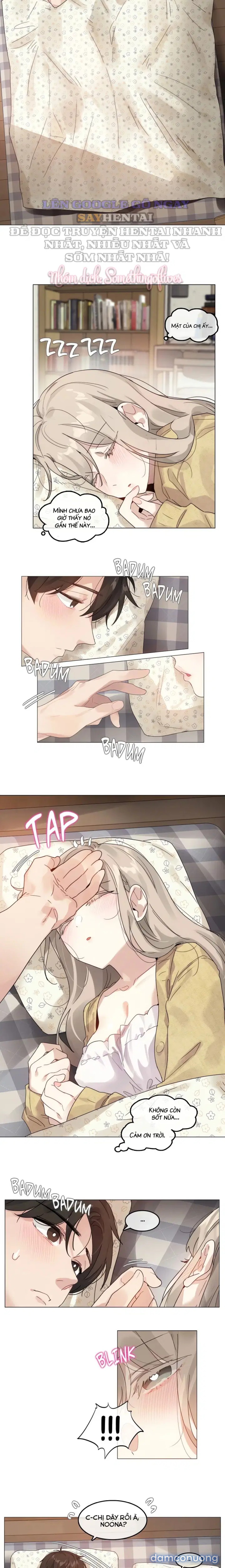 Mùa Hướng Dương Thầm Thì 